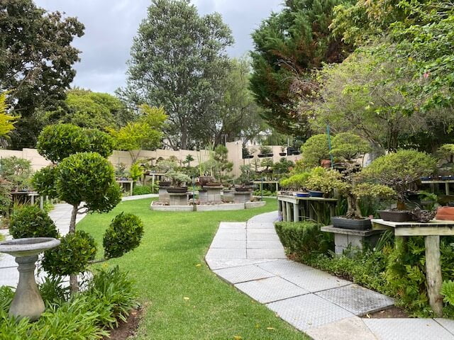 Bishopsford Bonsai Nursery