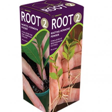 Root hormone powder