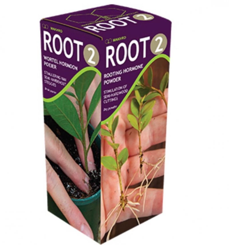 Root hormone powder