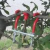 Bonsai branch bender clamp large - 18cm