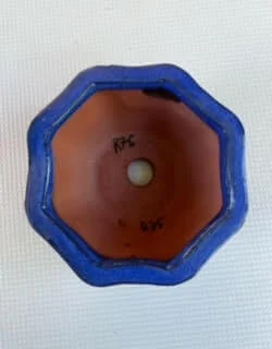 Bonsai pot octagonal