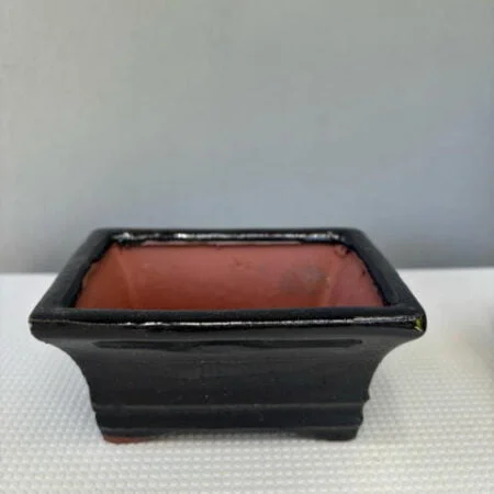 Bonsai pot - ceramic