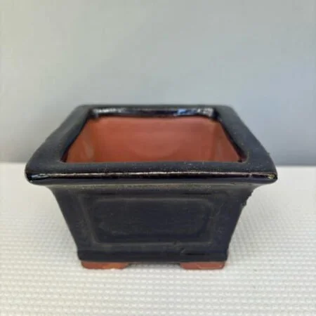 Dark Navy bonsai pot 10cm