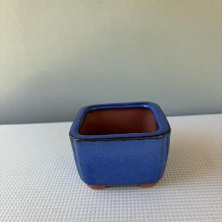 Bonsai pot - ceramic