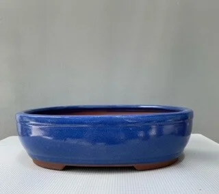 Blue Ceramic Bonsai Pot - Oval 20