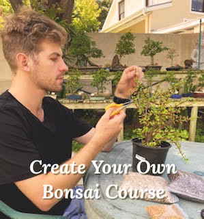 Create your Own Bonsai Course