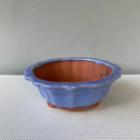 Bonsai pot